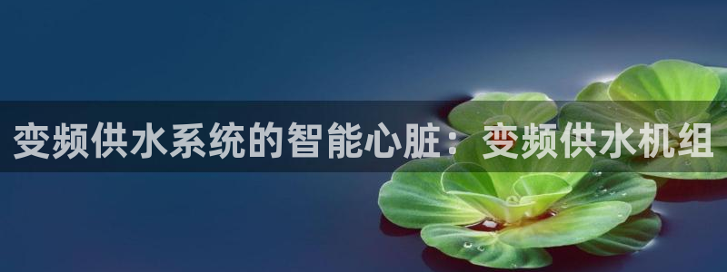 球友会APP