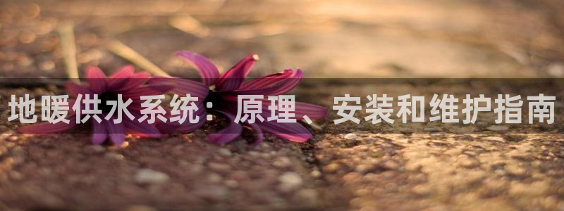 球友会提款不到账