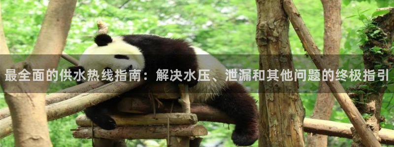 球友会官网入口在哪里