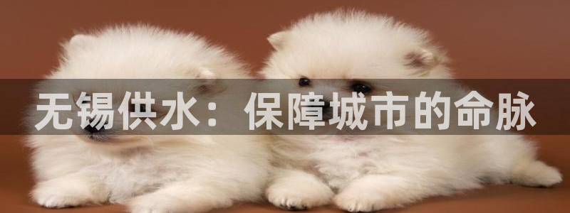 QY球友会体育官网