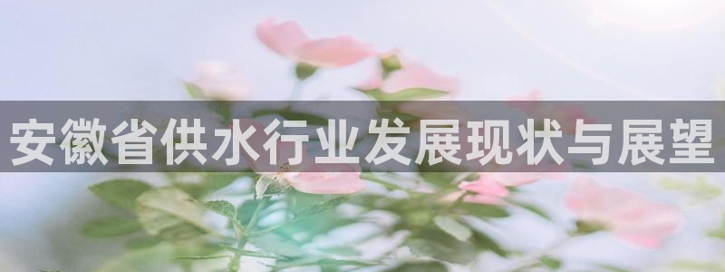 球友会联赛