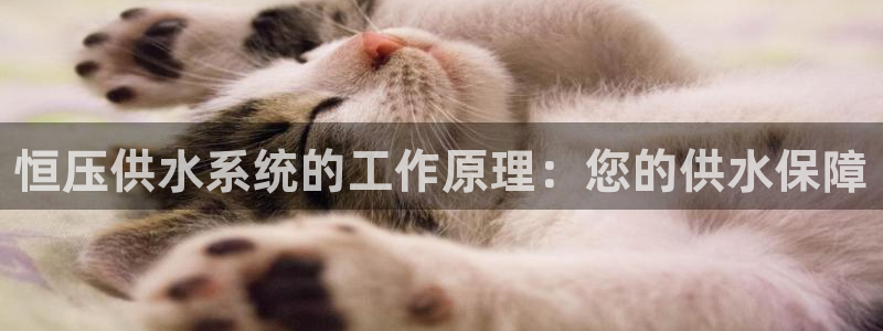 球友会网站多少