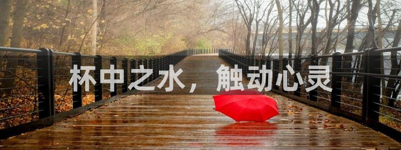 球友会提款审核中