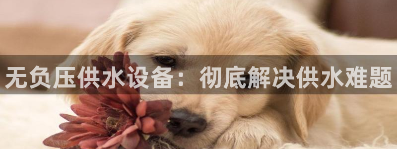 球友会友谊赛赛程赛果