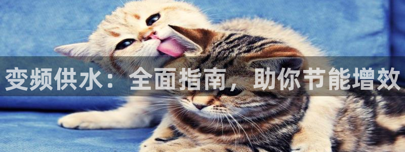 球友会赛程