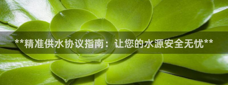 球友会比赛结果查询