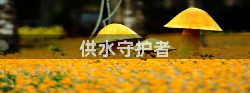 球友会体育app下载安卓最新版