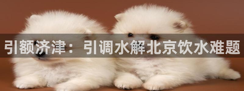 qy球友会体育官网下载