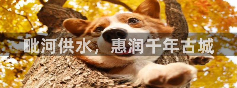 关键词