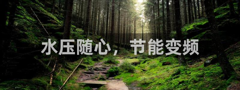 QY球友会