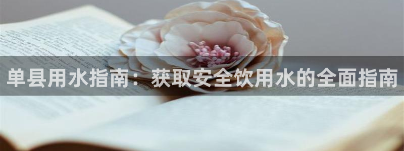 球友会台球俱乐部在哪