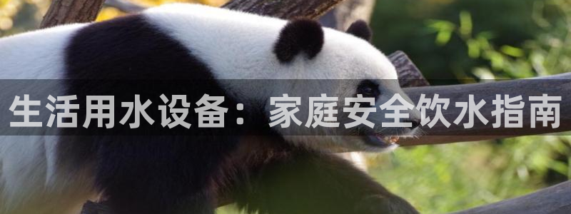 球友会APP