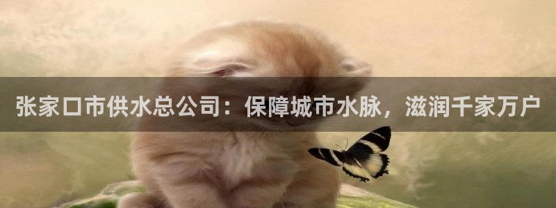 球友会app干啥的啊