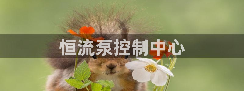 球友会体育app官方版下载安装最新