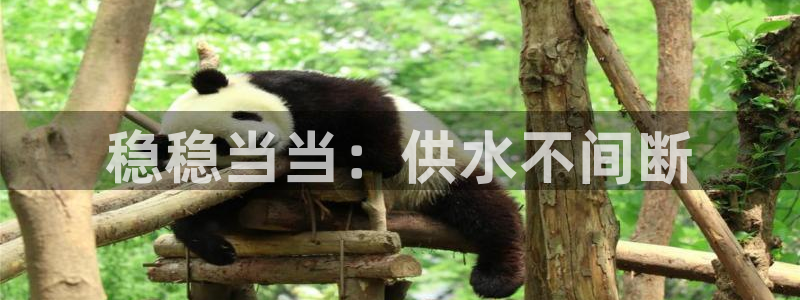球友会logo