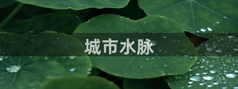 球友会qyh88bet