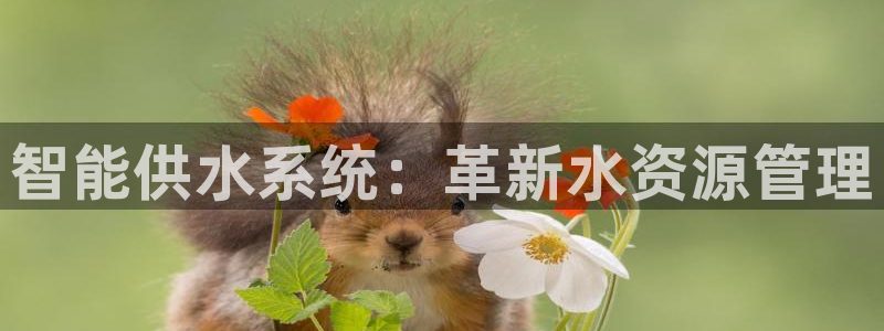 qy球友会体育