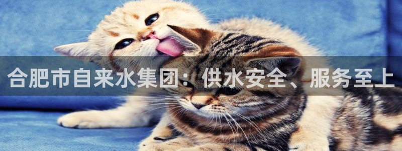 球友会体育app下载