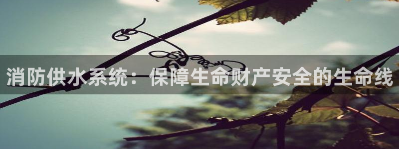 球友会娱乐