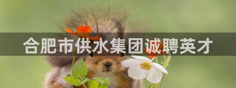 球友会比赛结果查询系统