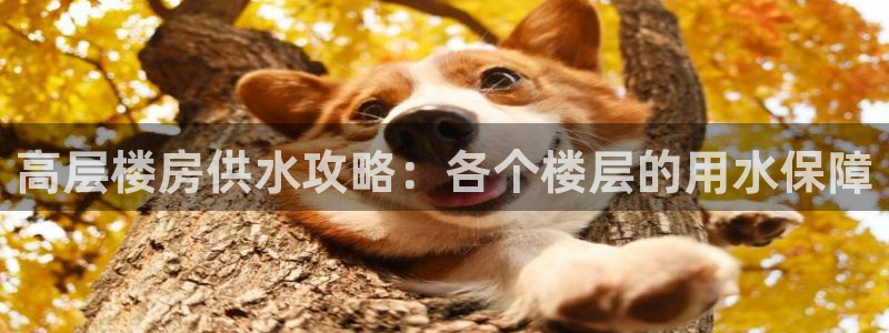 球友会曼联赛事