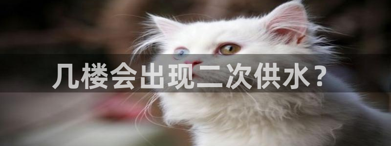 球友会聚餐发言简短