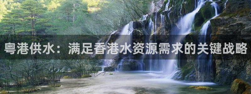 球友会网站多少钱一个