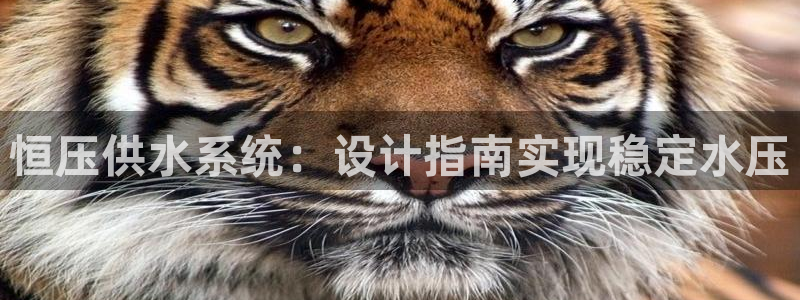 球友会官网入口网址