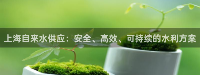 球友会体育app下载安卓手机