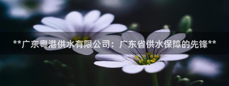 球友会网站多少钱一个