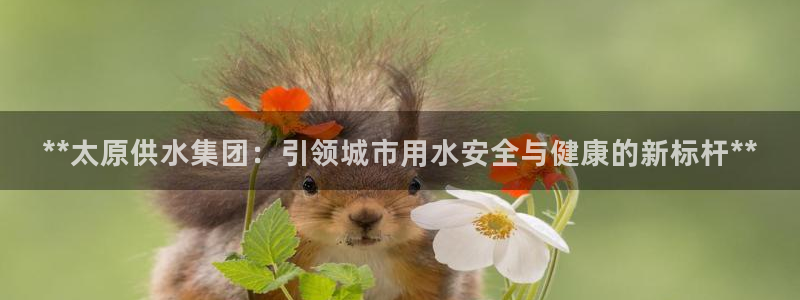 球友会是不是大平台
