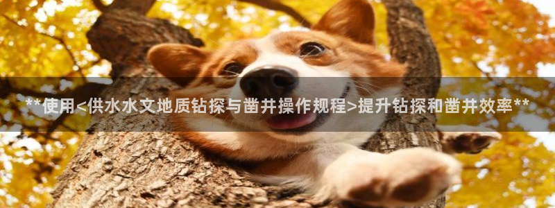 球友会是什么