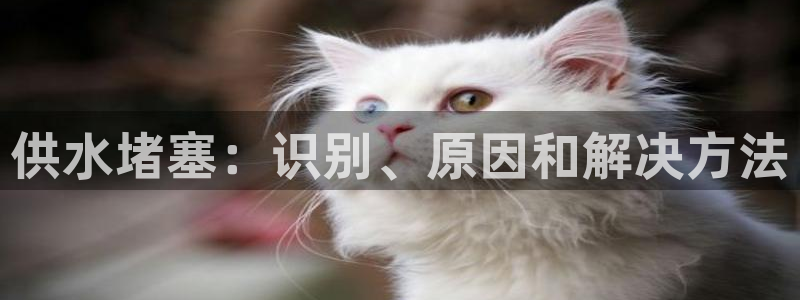 球友会比赛结果查询网站