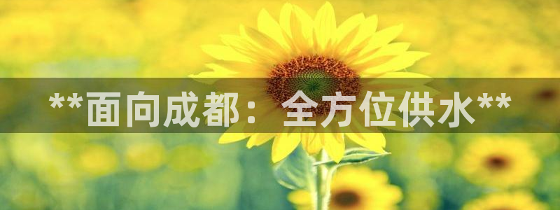 球友会怎么样