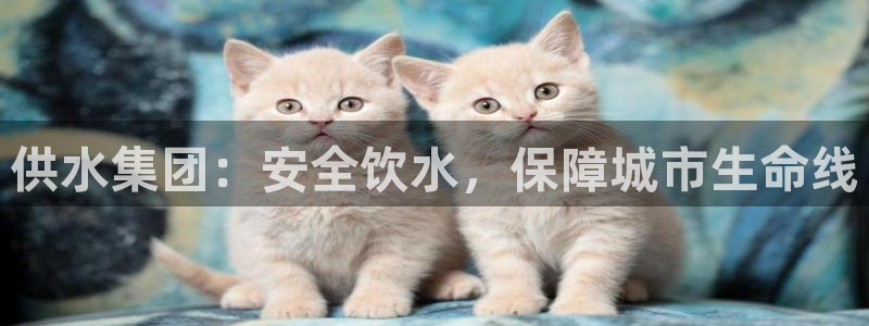 球友会破解码