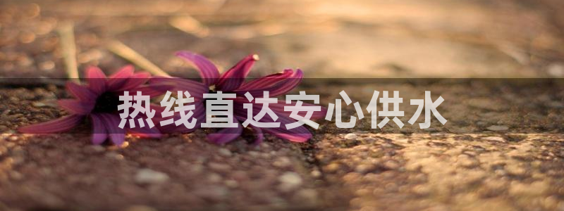 球友会qy怎么进不去