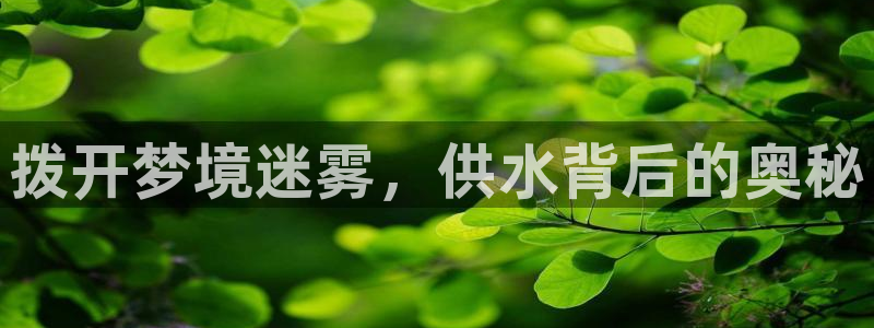 球友会体育app下载
