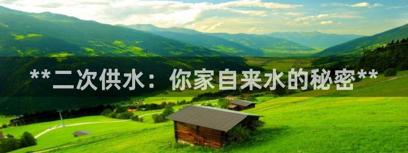 QY球友会体育官方平台