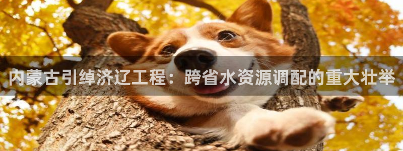 球友会体育