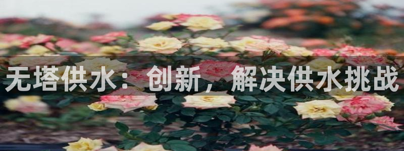 球友会的会字是哪个会