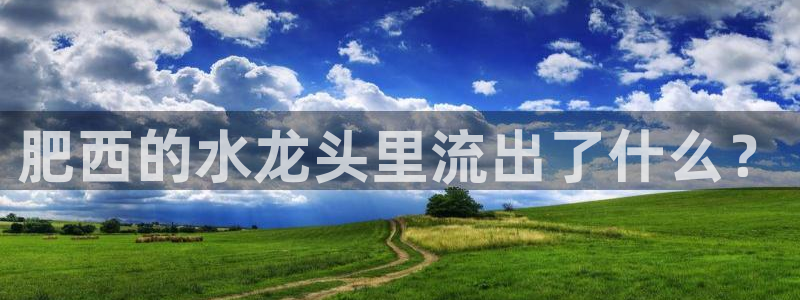 球友会下载