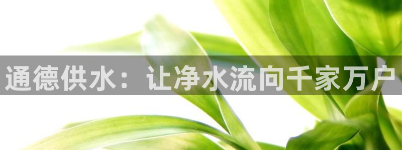 球友会联赛