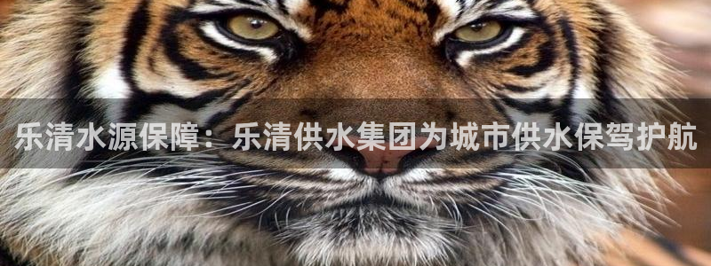 球友会台球俱乐部