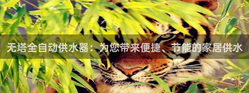 球友会官网入口网址