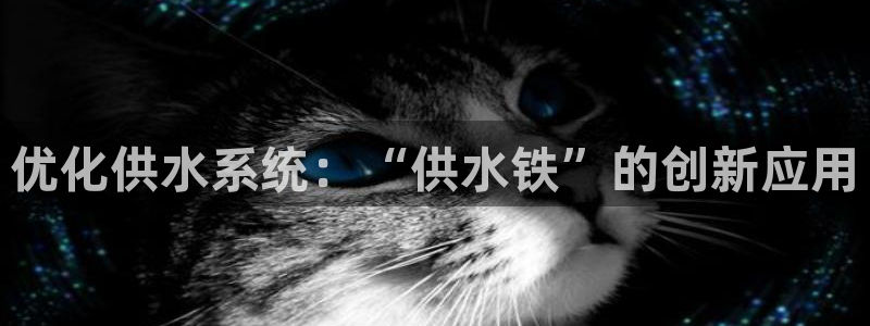 QY球友会