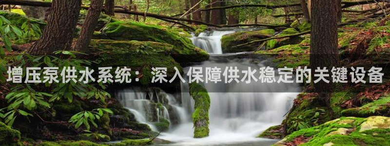 球友会比赛结果查询网站