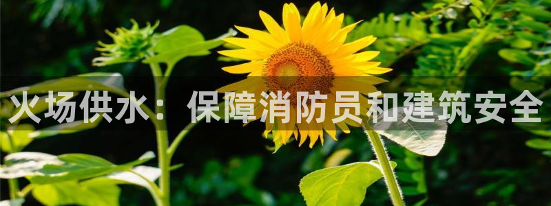 qy球友会体育怎么样