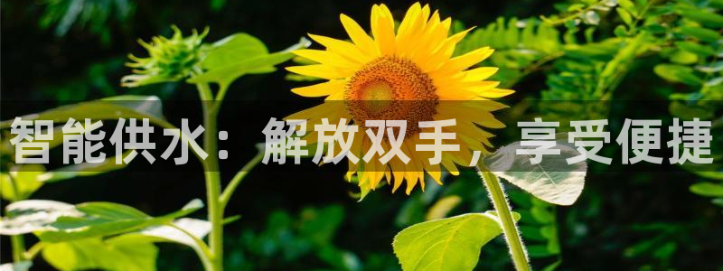 球友会破解码