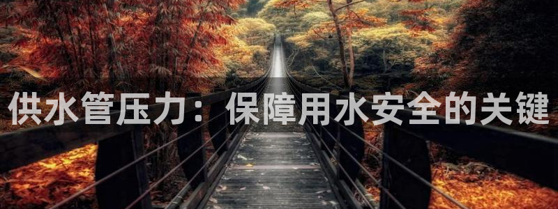 球友会官方网站下载