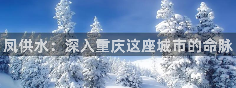 球友会比赛结果查询系统